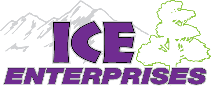 Ice enterprises